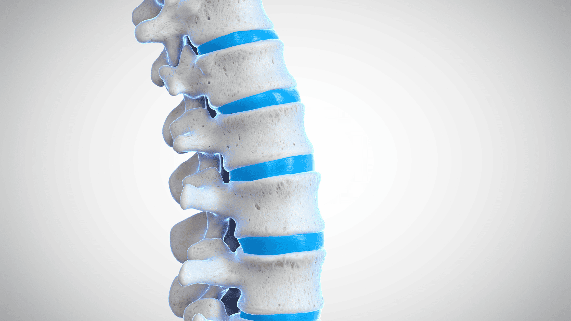 facet joint pain